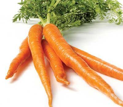 carottes