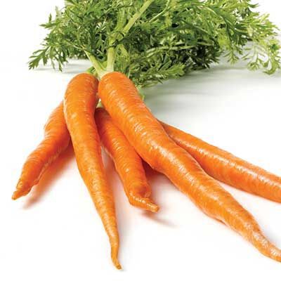 carottes