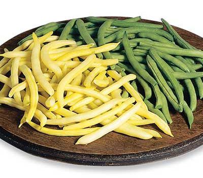 haricots