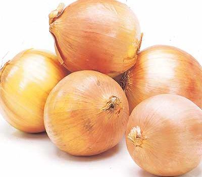 oignons jaunes