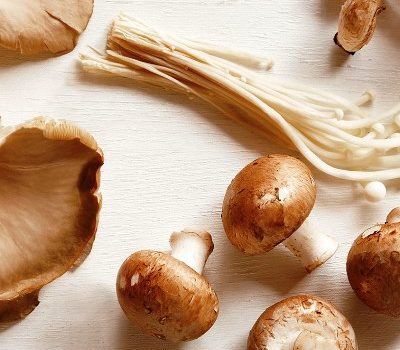 Champignons