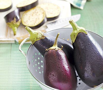 aubergine