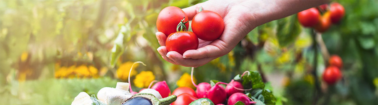 When you eat local, everyone wins