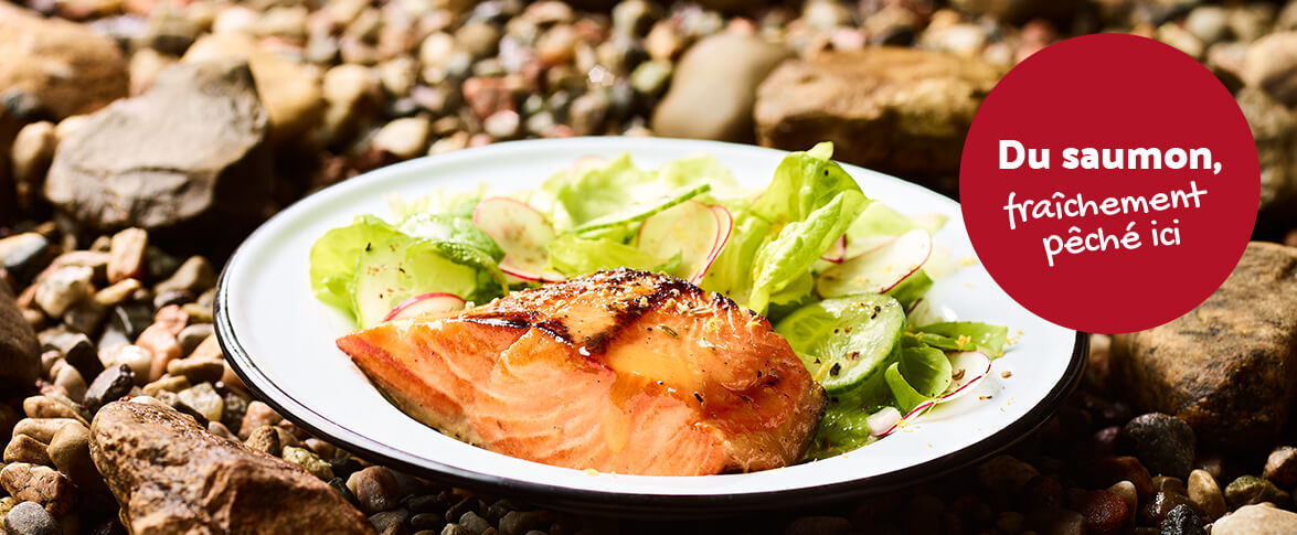 Saumon à l’érable et salade fraîche à la crème