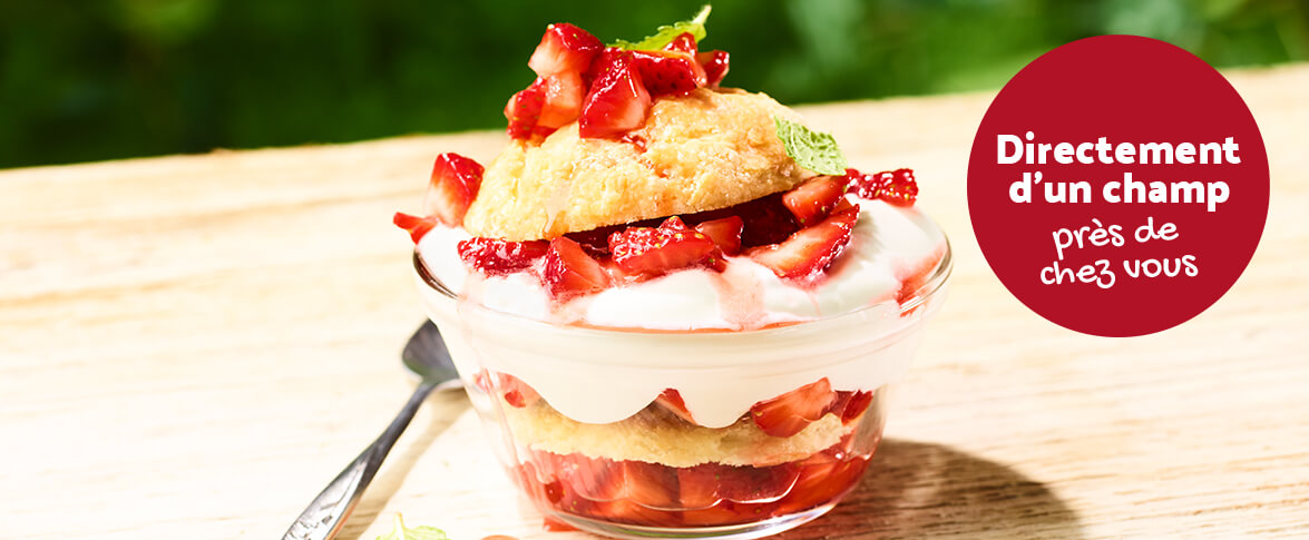 Shortcake de mamie aux fraises d’été