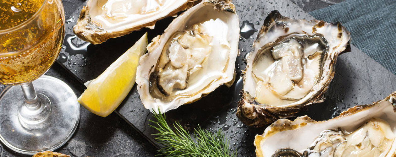 A small guide to oysters and mussels