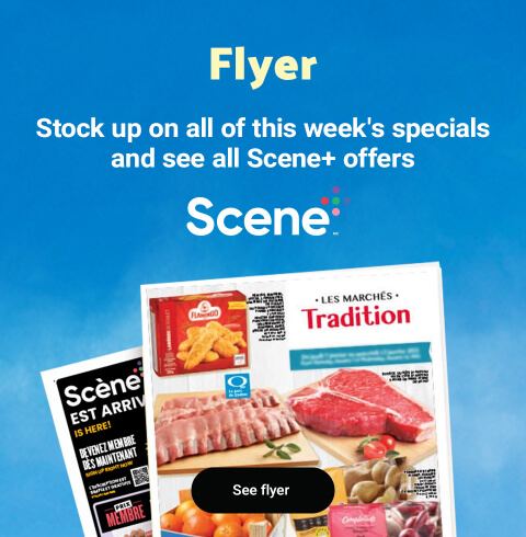 Flyer scene plus
