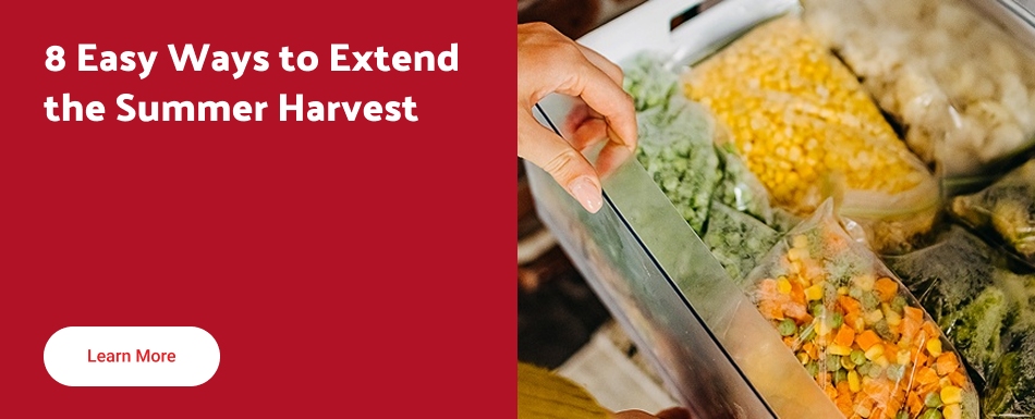 8 Easy Ways to Extend the Summer Harvest
