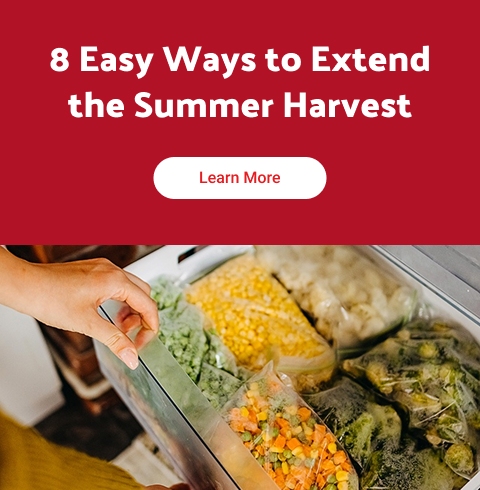 8 Easy Ways to Extend the Summer Harvest