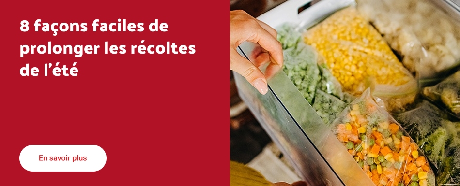 8 façons faciles de prolonger les récoltes de l’été