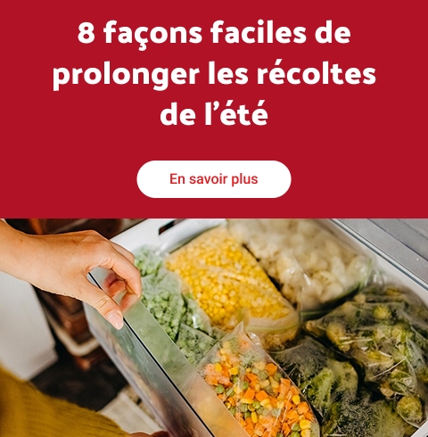 8 façons faciles de prolonger les récoltes de l’été